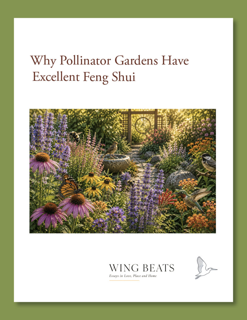 Why Pollinator Gardens Have Excellent Feng Shui